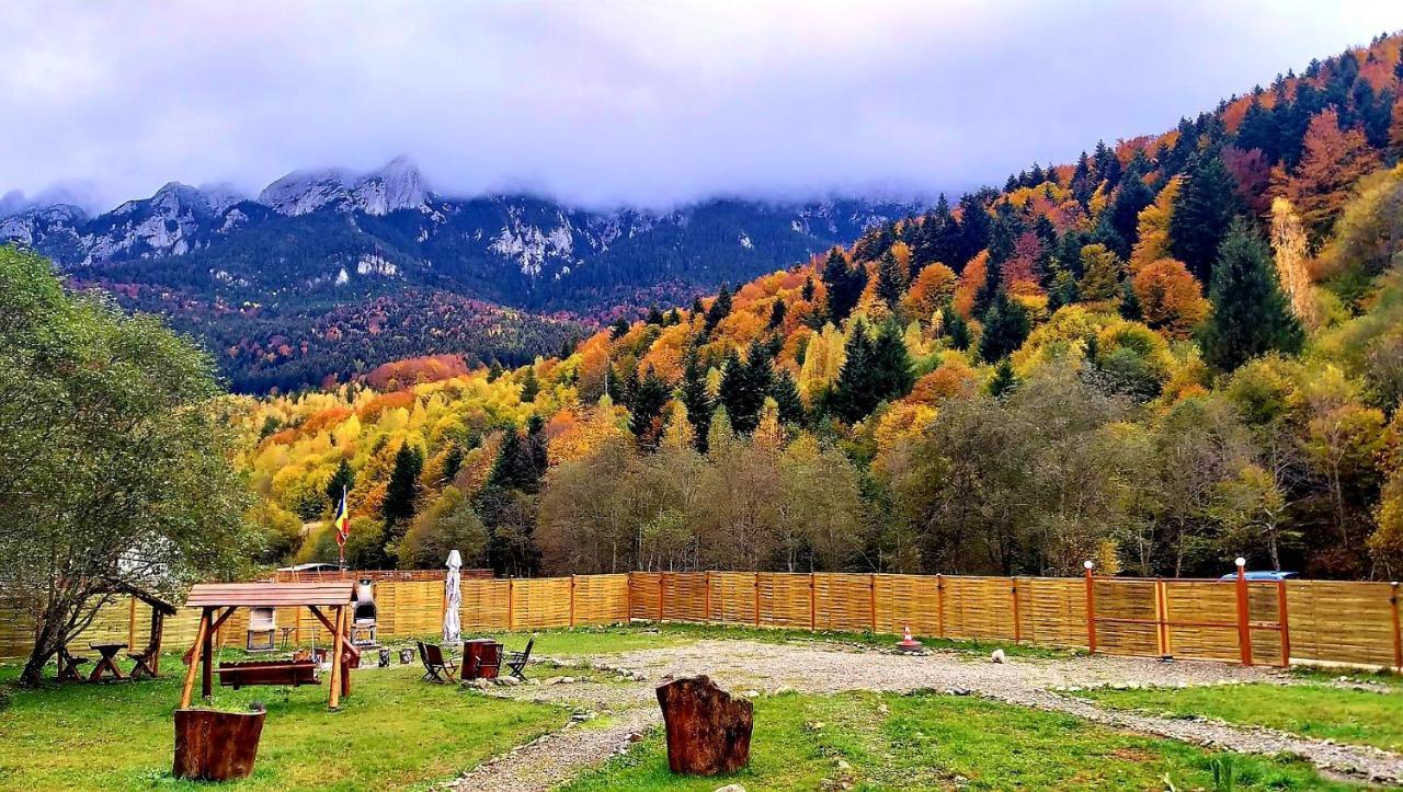 Willa Aroa Mountain 4 Zărneşti Zewnętrze zdjęcie